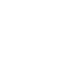 National Federation of the Blind of Greater Springfield Inc